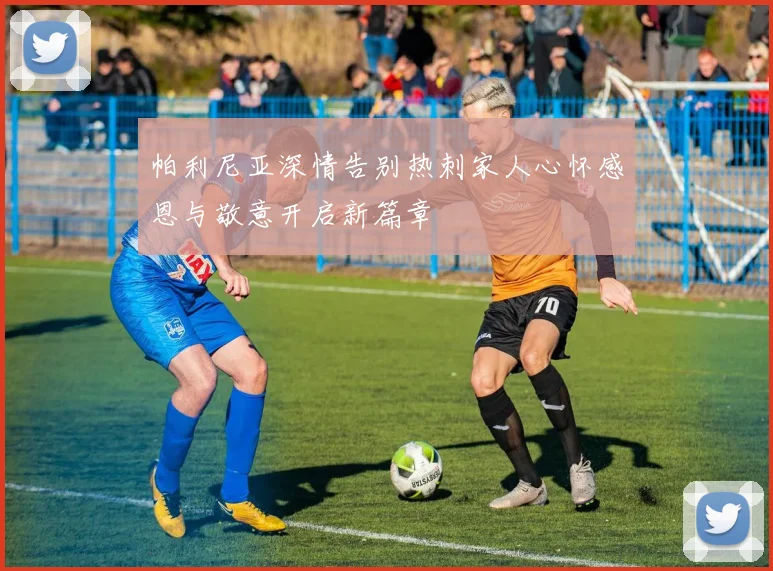 帕利尼亚深情告别热刺家人心怀感恩与敬意开启新篇章