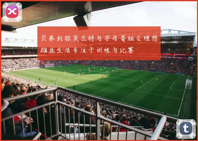 贝弗利称莫兰特与字母哥组合理想雄鹿生活专注于训练与比赛