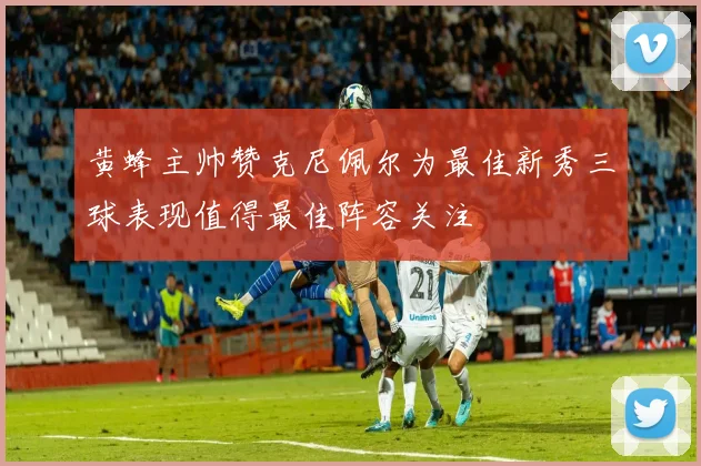 黄蜂主帅赞克尼佩尔为最佳新秀三球表现值得最佳阵容关注