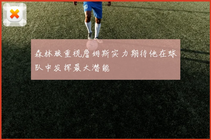 森林狼重视詹姆斯实力期待他在球队中发挥最大潜能